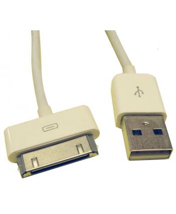 CONEXION USB A MACHO -...