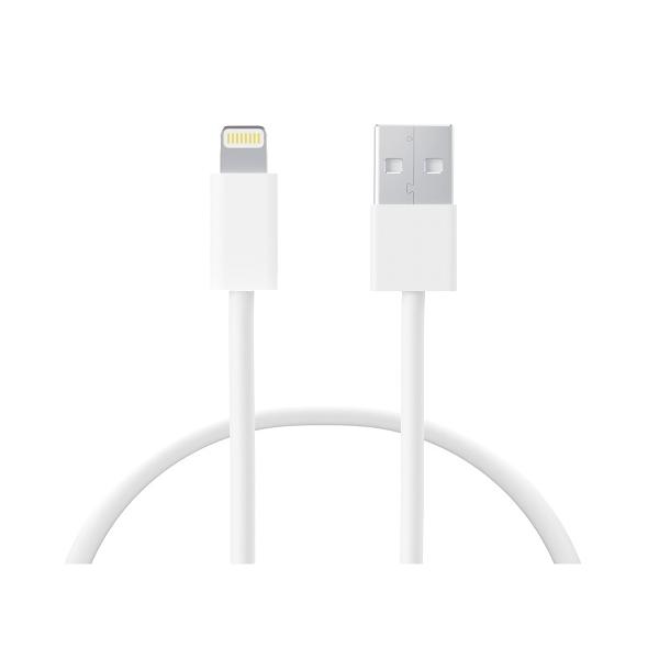 CONEXION USB A LIGHTNING iPhone 12W 1m