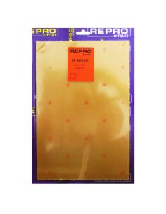 PLACA C.I VIRGEN BAQUELITA 200x300mm