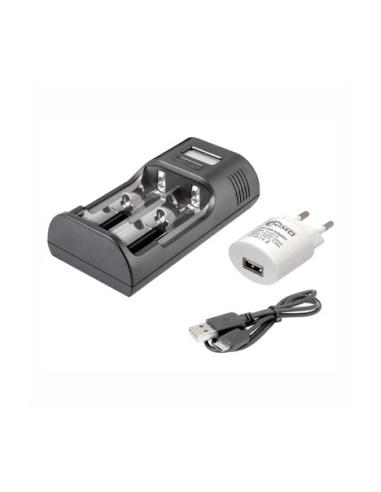 CHARGEUR UNIVERSEL Lithium-Ion/Ni-MH/Ni-Cd CAR234