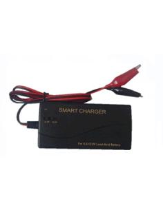CARGADOR BATERIAS DE PLOMO AUTOMATICO 6-12V