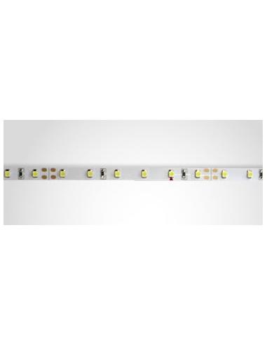 1m LEDS 3528 BLANCO FRIO 24V 50W TLIP20HQ50WF IP20