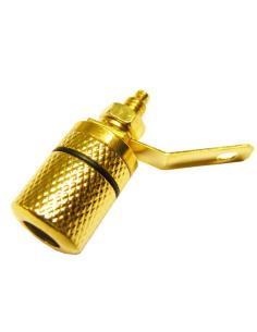 BASE CHASIS BANANA HEMBRA 4mm DORADA LINEA NEGRA