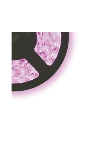 KIT DE BANDES LED BLANCHES CAL.3528 24W 5M IP65 AVEC F.A.