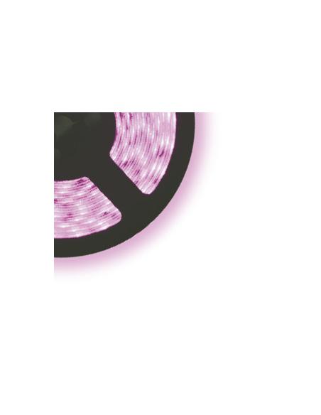 KIT DE BANDES LED BLANCHES CAL.3528 24W 5M IP65 AVEC F.A.