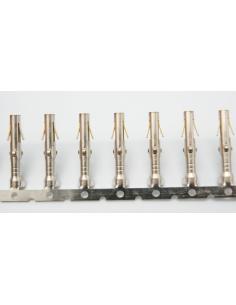 PIN CONECTOR MOLEX HEMBRA