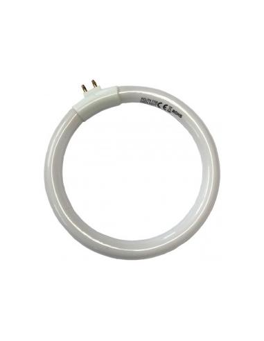 TUBO FLUORESCENTE PARA LUPA 19531