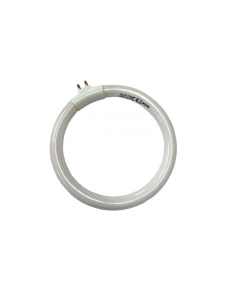 TUBO FLUORESCENTE PARA LUPA 19531