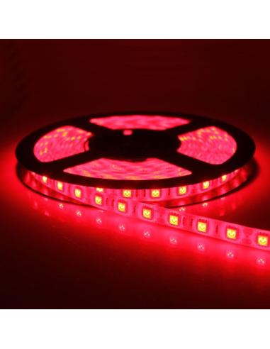 1m LEDS 2835 ROJO 12V 60 SMD/m 4,8W 300lm/m IP20