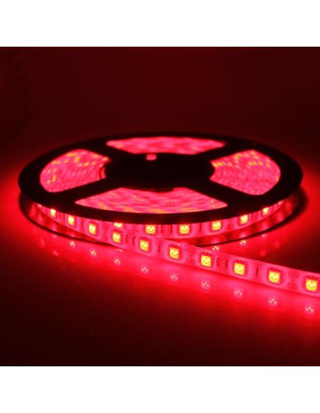 1m LEDS 2835 ROJO 12V 60 SMD/m 4,8W 300lm/m IP20