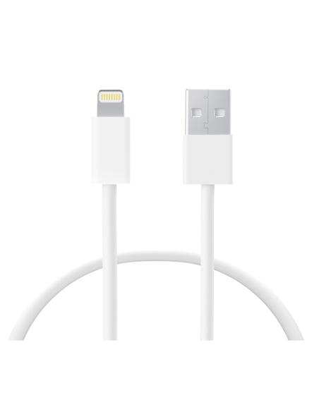 CONEXION USB A LIGHTNING iPhone 12W 1m
